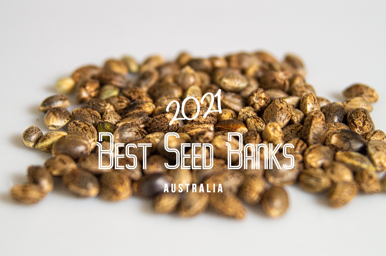 Top 10 Best Cannabis Seed Banks Australia 2021 - WSA